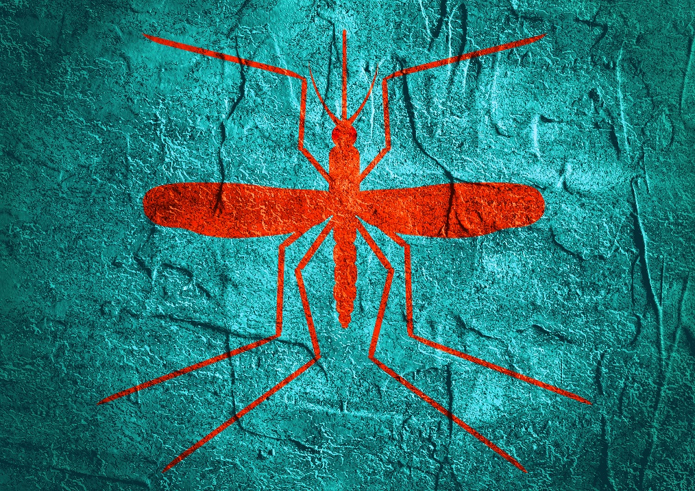 mosquito silhouette on concrete textured surface
