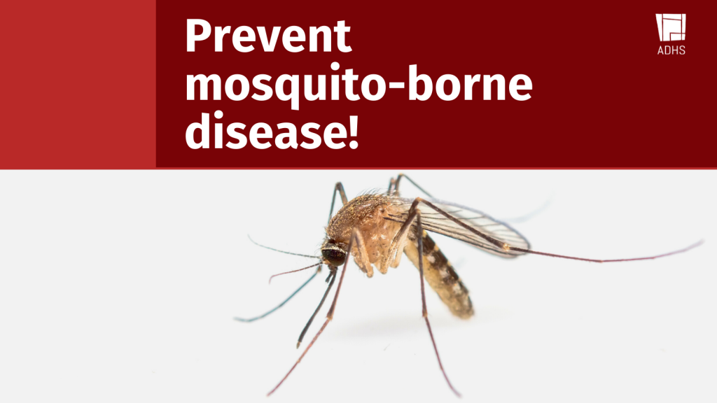 Remove standing water to prevent mosquito-borne disease – AZ Dept. of ...