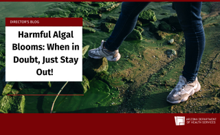 Algae Blooms