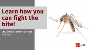 Prevent mosquito-borne disease