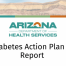 image of a part of the cover of the Diabetes Action Plan that shows an image of beautiful mountains in the background, the ADHS logo and the title of Diabetes Action Plan Report